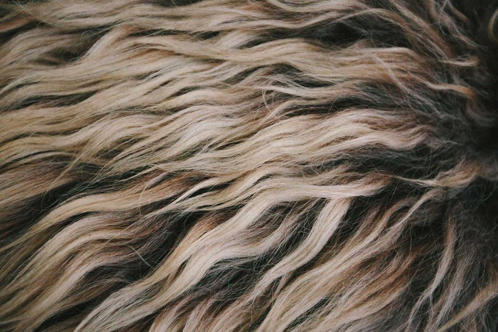 organic sheepskins