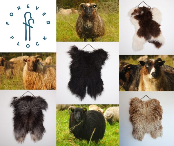 felted sheepskins