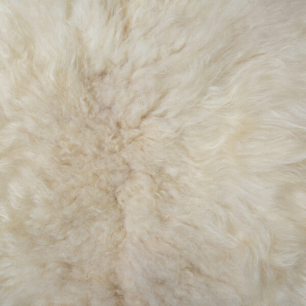 Forever Flock - Primrose - Image 5