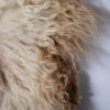 felted sheepskin