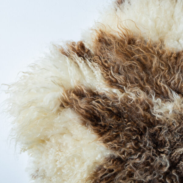 Forever Flock - Bandit - Image 3