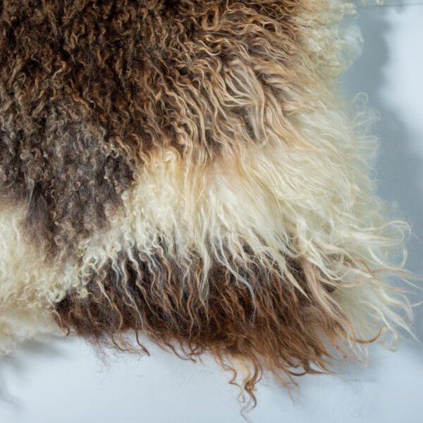 Forever Flock - Bandit - Image 6