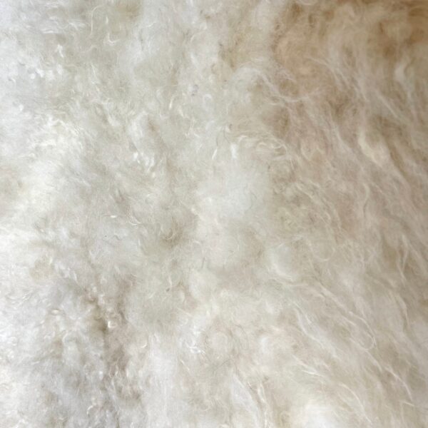 felted sheepskin